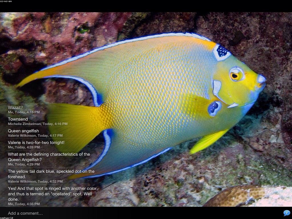 ការពន្យល់អំពីចំណាត់ថ្នាក់ស្លត