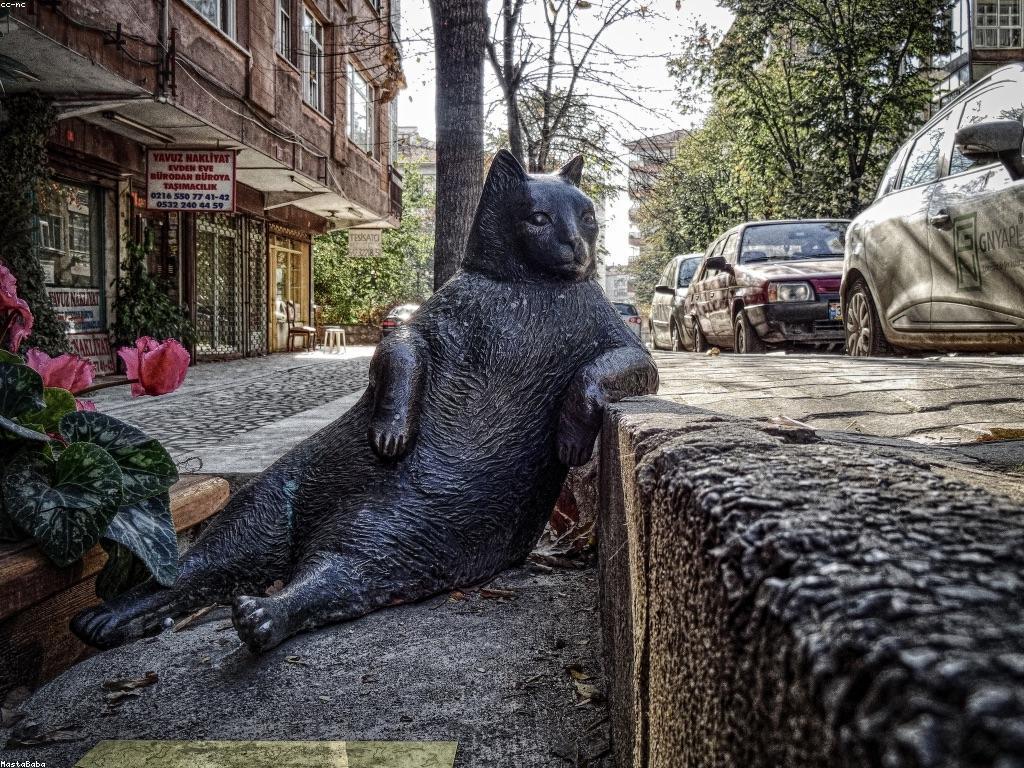 ការវិភាគស្លត: សម្របសម្រួលនៃចំណេះដឹងនិងចរិតស្លត