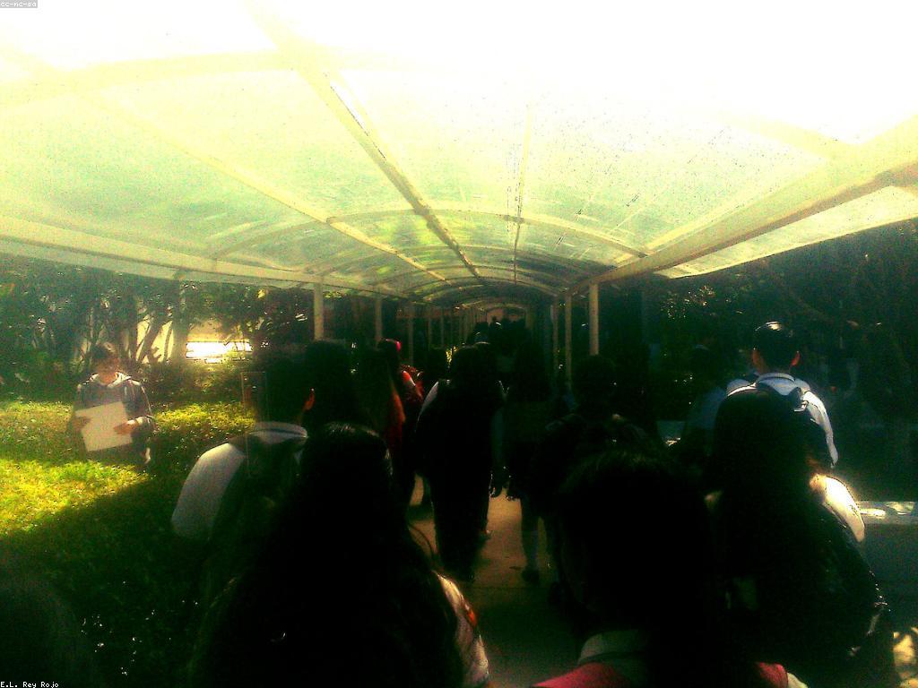 វិទ្យាសាស្ត្រនៃមេរៀនស្លត