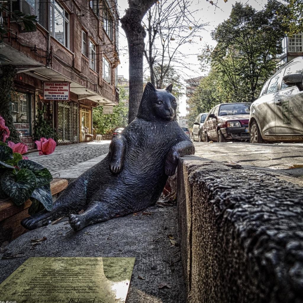 សារៈសំខាន់នៃយុទ្ធសាស្រ្តសិក្សា